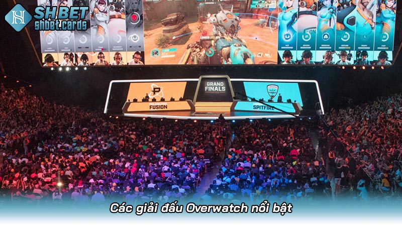 Các giải đấu Overwatch nổi bật