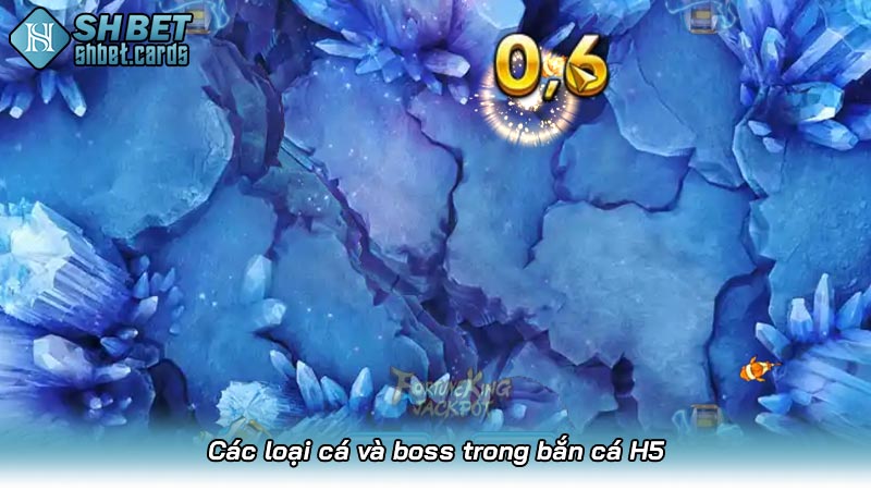 Các loại cá và boss trong bắn cá H5