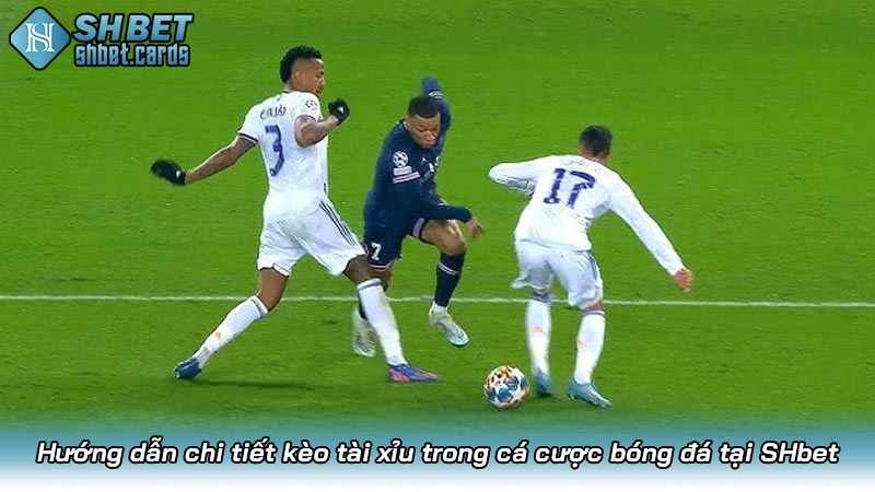 Hướng dẫn chi tiết kèo tài xỉu trong cá cược bóng đá tại SHbet
