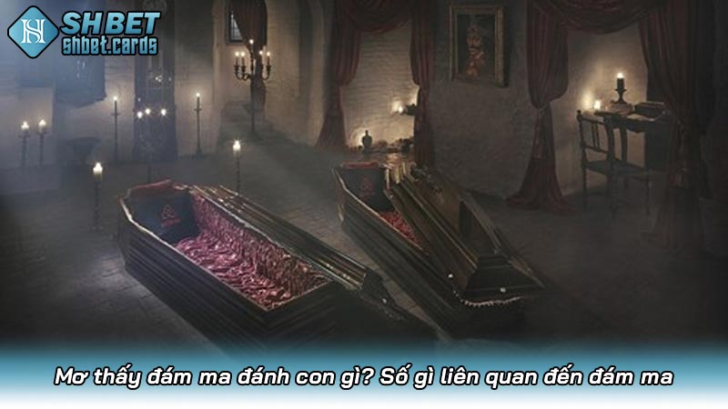 Mơ thấy đám ma đánh con gì? Số gì liên quan đến đám ma