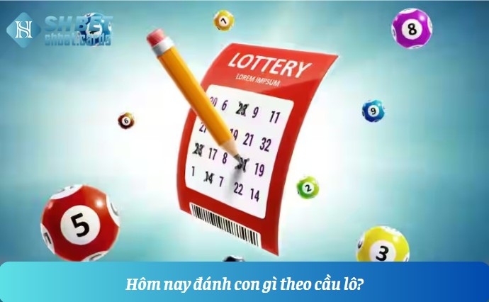 Hôm nay đánh con gì theo cầu lô?
