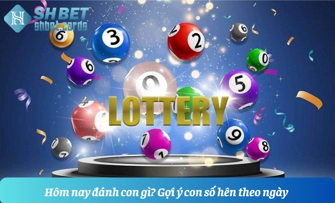 Hôm nay đánh con gì?