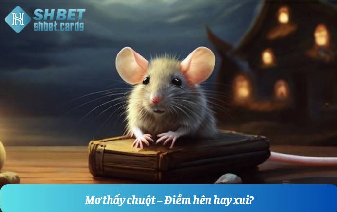 Mơ thấy chuột – Điềm hên hay xui?