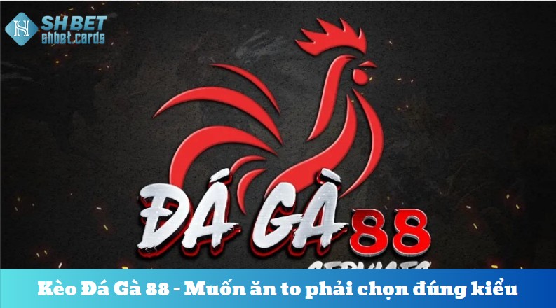 Các kiểu kèo Đá Gà 88 – Muốn ăn to phải chọn đúng kiểu 
